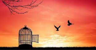 Learning and Growth: The silver&nbsp;lining.